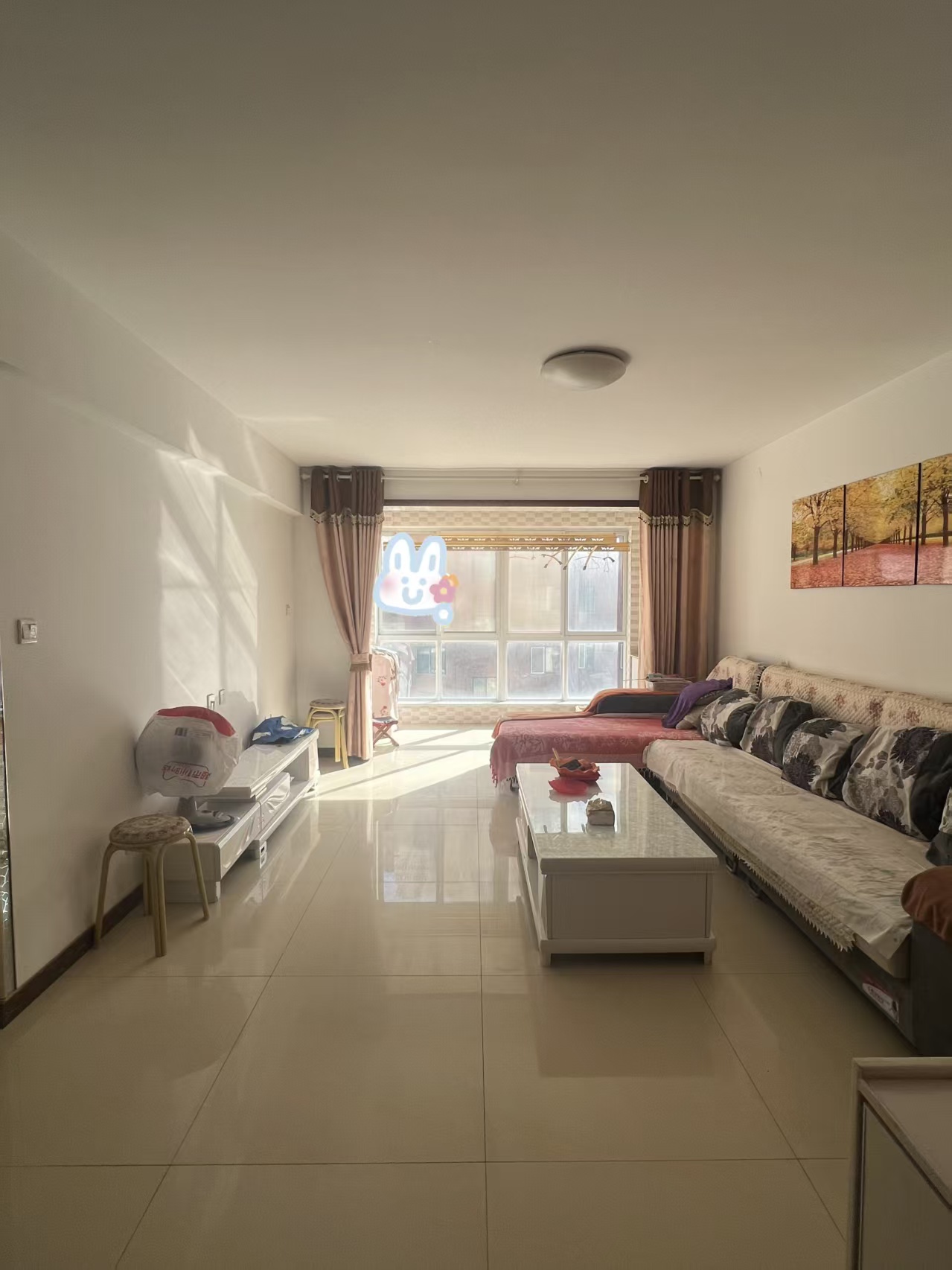 @出租:900，書香苑，3樓，2室